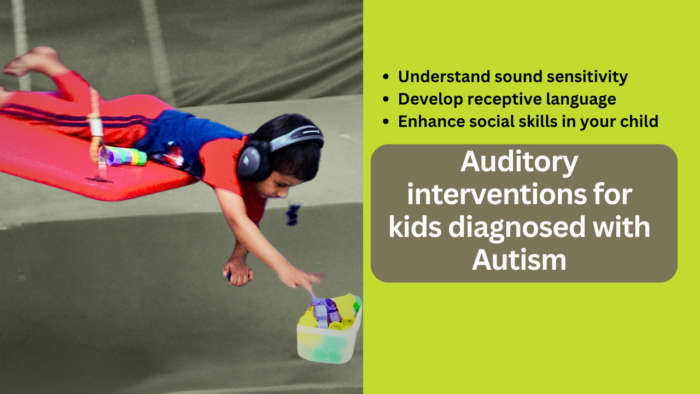 Masterclass- Auditory interventions for Autism (English)