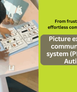 Masterclass PECS and communication in Autism